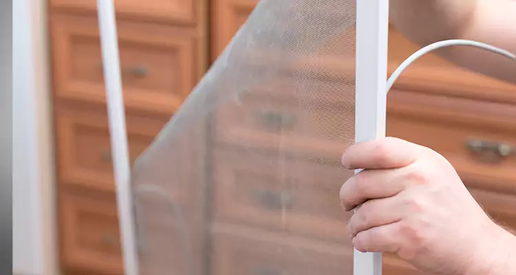 Privacy Mesh Screen Door Installation in Antioch, CA