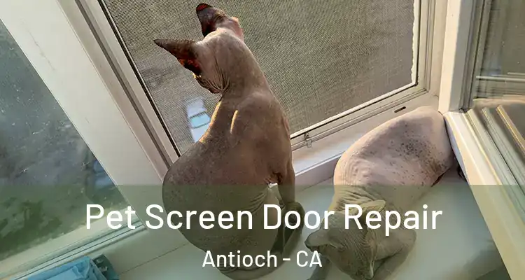  Pet Screen Door Repair Antioch - CA